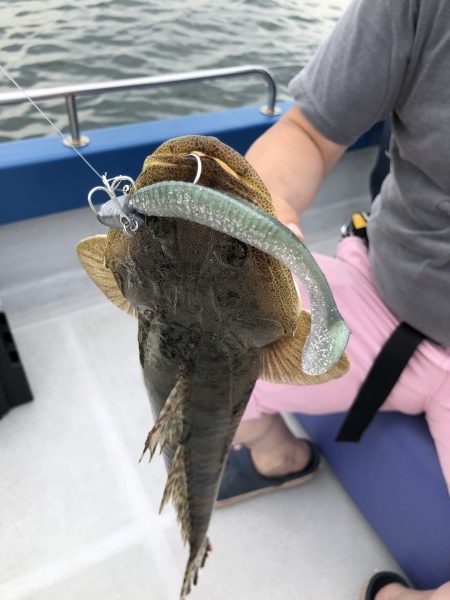 hideup 須江一樹 ブログ写真 2019/05/09