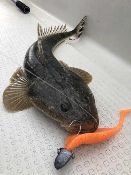 hideup 須江一樹 ブログ写真 2019/05/09