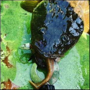 hideup 須江一樹 ブログ写真 2019/05/09