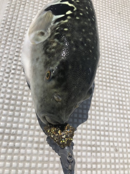 hideup 須江一樹 ブログ写真 2019/05/11