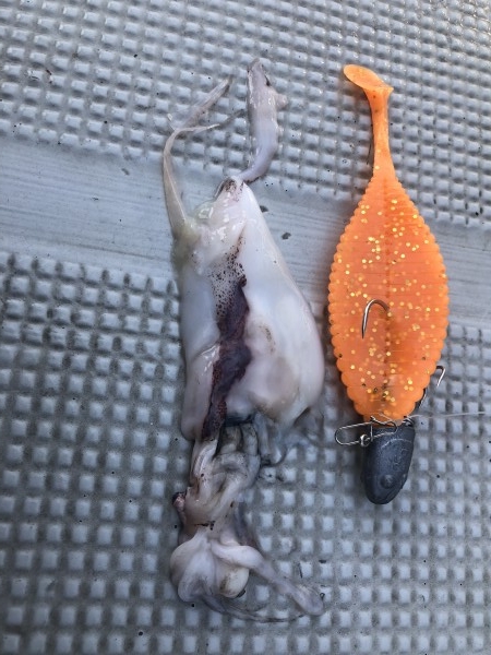 hideup 須江一樹 ブログ写真 2019/05/14