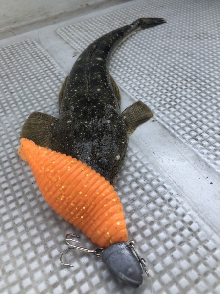 hideup 須江一樹 ブログ写真 2019/05/14