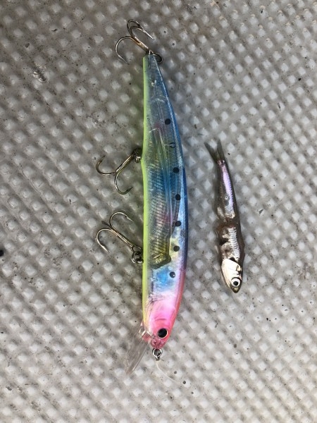 hideup 須江一樹 ブログ写真 2019/10/04