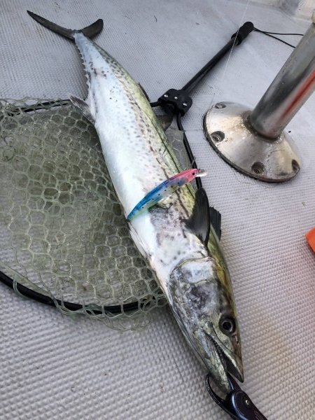 hideup 須江一樹 ブログ写真 2019/10/04