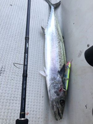 hideup 須江一樹 ブログ写真 2019/10/04