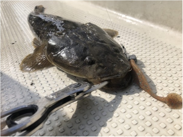 hideup 須江一樹 ブログ写真 2021/05/02