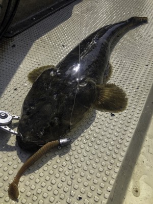 hideup 須江一樹 ブログ写真 2021/05/02