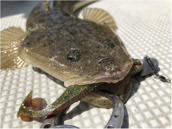 hideup 須江一樹 ブログ写真 2021/05/09