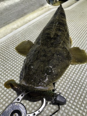 hideup 須江一樹 ブログ写真 2021/05/09