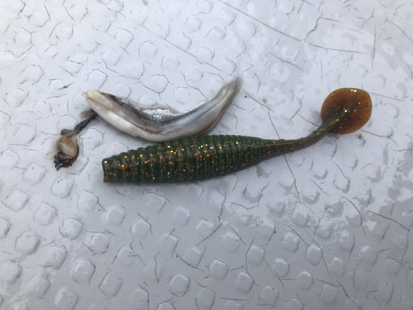 hideup 須江一樹 ブログ写真 2021/07/01