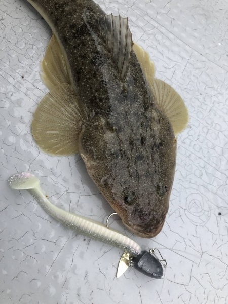 hideup 須江一樹 ブログ写真 2021/07/01