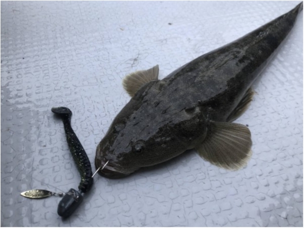 hideup 須江一樹 ブログ写真 2021/07/01