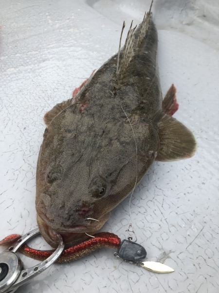 hideup 須江一樹 ブログ写真 2021/07/01