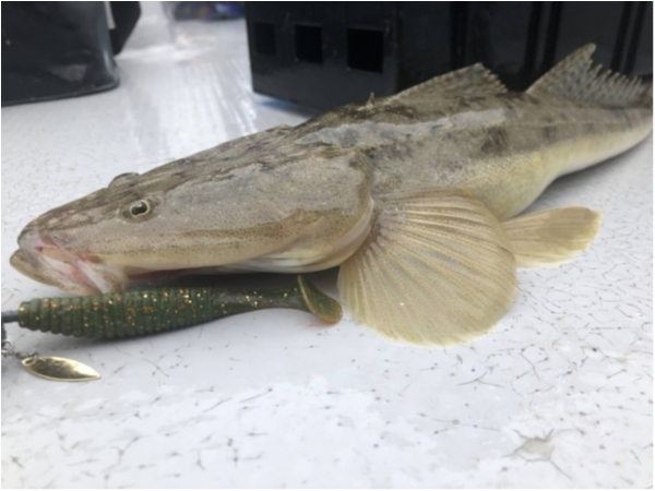 hideup 須江一樹 ブログ写真 2021/07/03