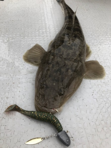 hideup 須江一樹 ブログ写真 2021/07/03