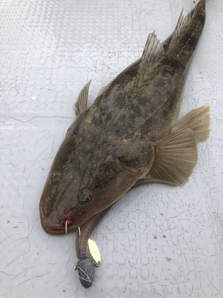 hideup 須江一樹 ブログ写真 2021/07/03