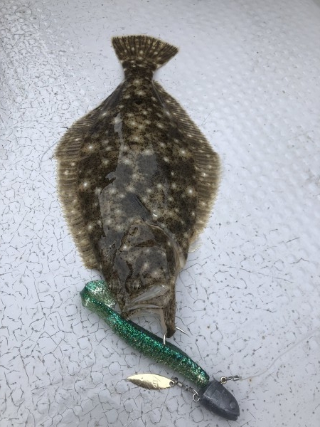 hideup 須江一樹 ブログ写真 2021/07/05