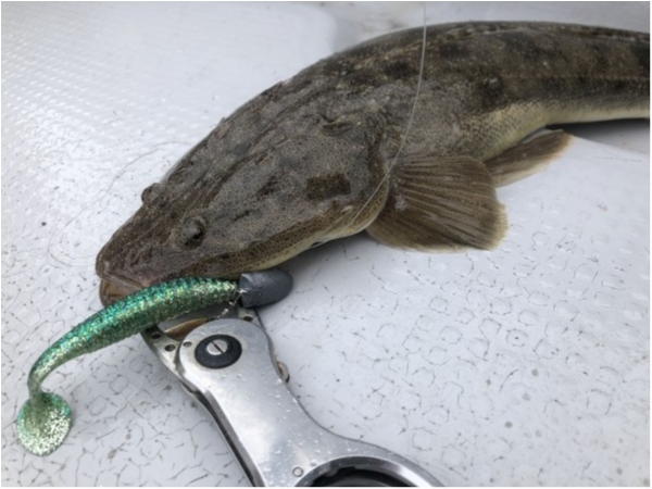 hideup 須江一樹 ブログ写真 2021/07/05