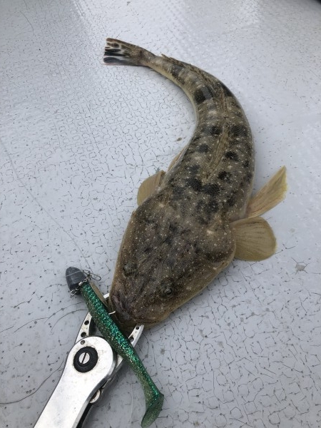 hideup 須江一樹 ブログ写真 2021/07/05