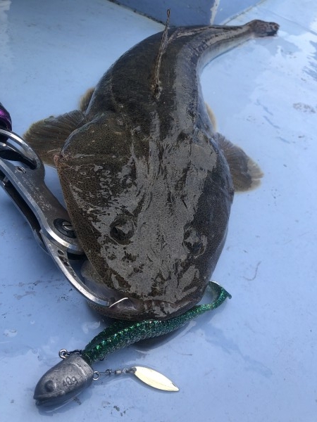 hideup 須江一樹 ブログ写真 2021/07/09