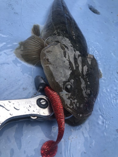 hideup 須江一樹 ブログ写真 2021/07/09