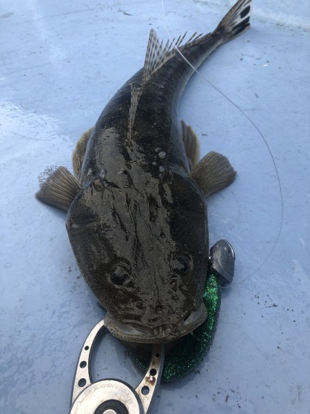 hideup 須江一樹 ブログ写真 2021/07/09