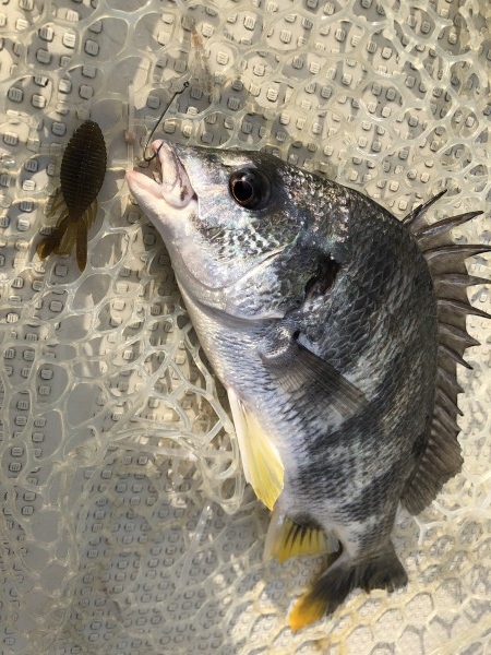 hideup 須江一樹 ブログ写真 2021/07/24