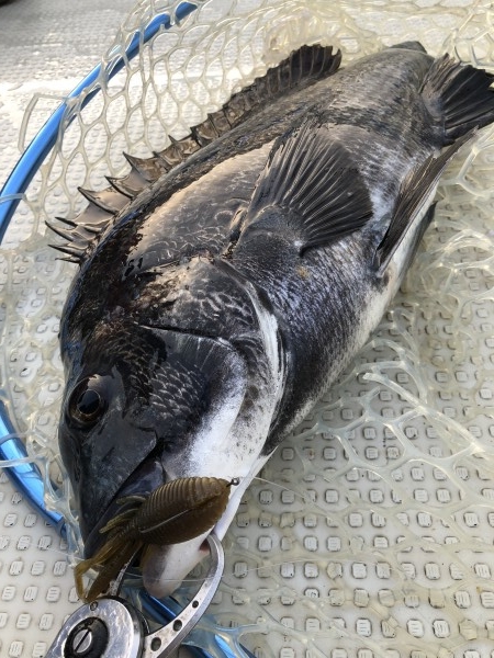 hideup 須江一樹 ブログ写真 2021/07/24