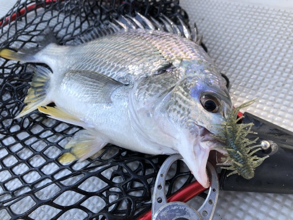 hideup 須江一樹 ブログ写真 2021/07/27