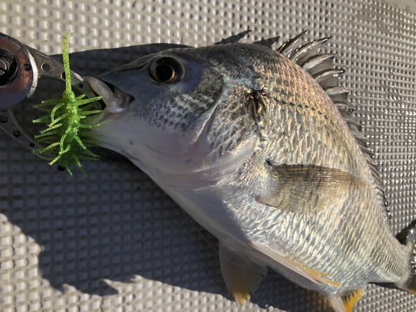 hideup 須江一樹 ブログ写真 2021/07/27