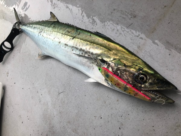 hideup 須江一樹 ブログ写真 2021/10/13