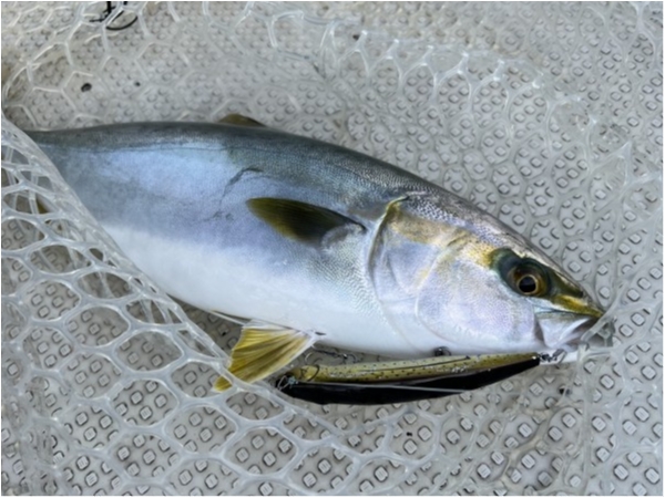 hideup 須江一樹 ブログ写真 2022/01/05