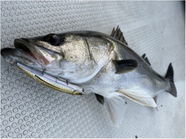 hideup 須江一樹 ブログ写真 2022/01/05