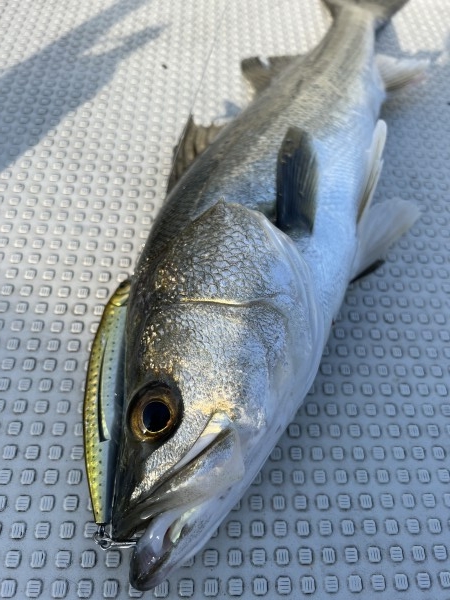 hideup 須江一樹 ブログ写真 2022/01/05