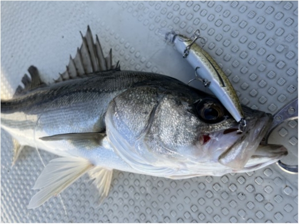 hideup 須江一樹 ブログ写真 2022/01/05