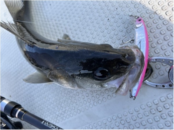 hideup 須江一樹 ブログ写真 2022/01/05