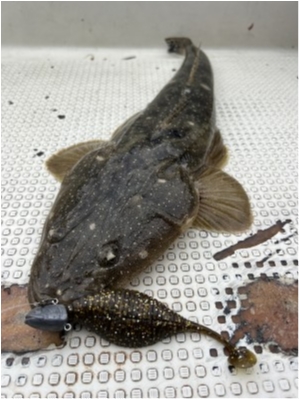 hideup 須江一樹 ブログ写真 2023/04/27