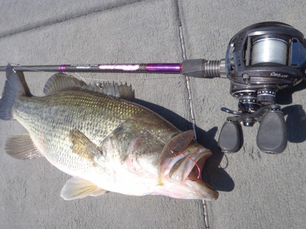 hideup 鈴木利忠 ブログ写真 2013/05/02