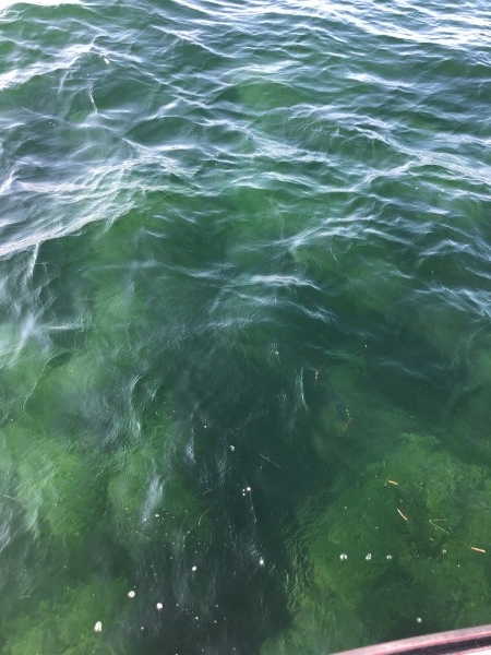 hideup 武田栄喜 ブログ写真 2019/08/05