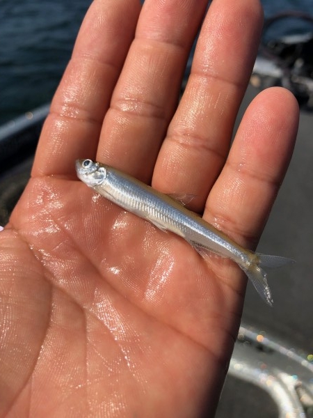 hideup 武田栄喜 ブログ写真 2019/08/05