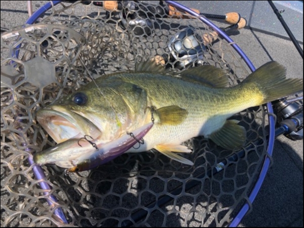 hideup 武田栄喜 ブログ写真 2019/08/06