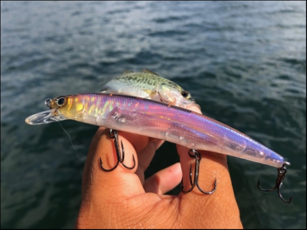 hideup 武田栄喜 ブログ写真 2019/08/08