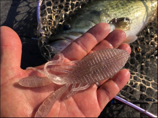 hideup 武田栄喜 ブログ写真 2019/08/11