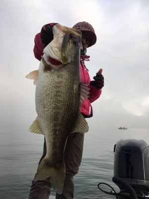 hideup 横山直人 ブログ写真 2016/12/04