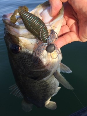 hideup 讓ｪ螻ｱ逶ｴ莠ｺ 繝悶Ο繧ｰ蜀咏悄 2016/11/16