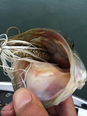 hideup 横山直人 ブログ写真 2014/03/02