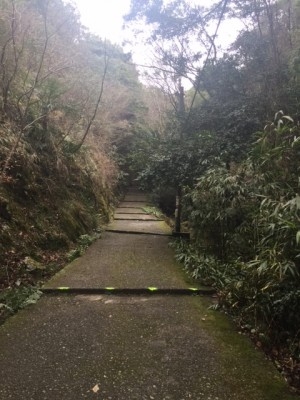 hideup 讓ｪ螻ｱ逶ｴ莠ｺ 繝悶Ο繧ｰ蜀咏悄 2014/12/21