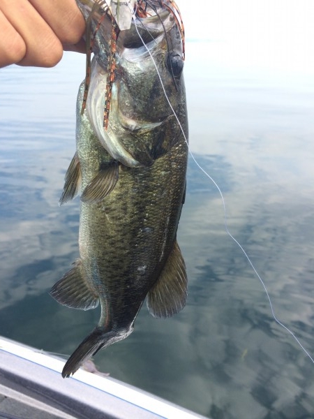 hideup 讓ｪ螻ｱ逶ｴ莠ｺ 繝悶Ο繧ｰ蜀咏悄 2014/09/10