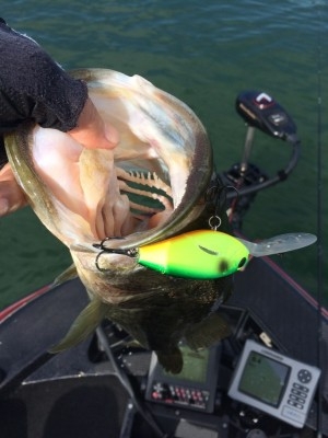 hideup 横山直人 ブログ写真 2015/10/18