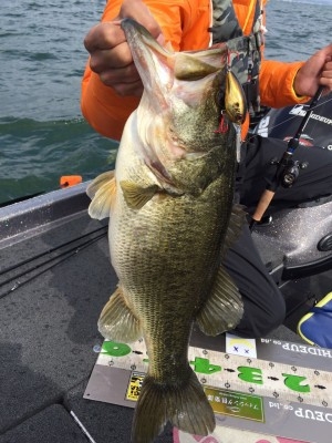 hideup 讓ｪ螻ｱ逶ｴ莠ｺ 繝悶Ο繧ｰ蜀咏悄 2016/03/22